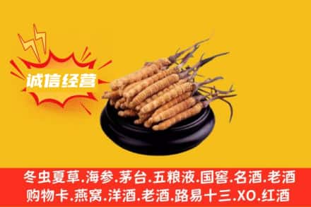 锡林郭勒太仆寺回收冬虫夏草